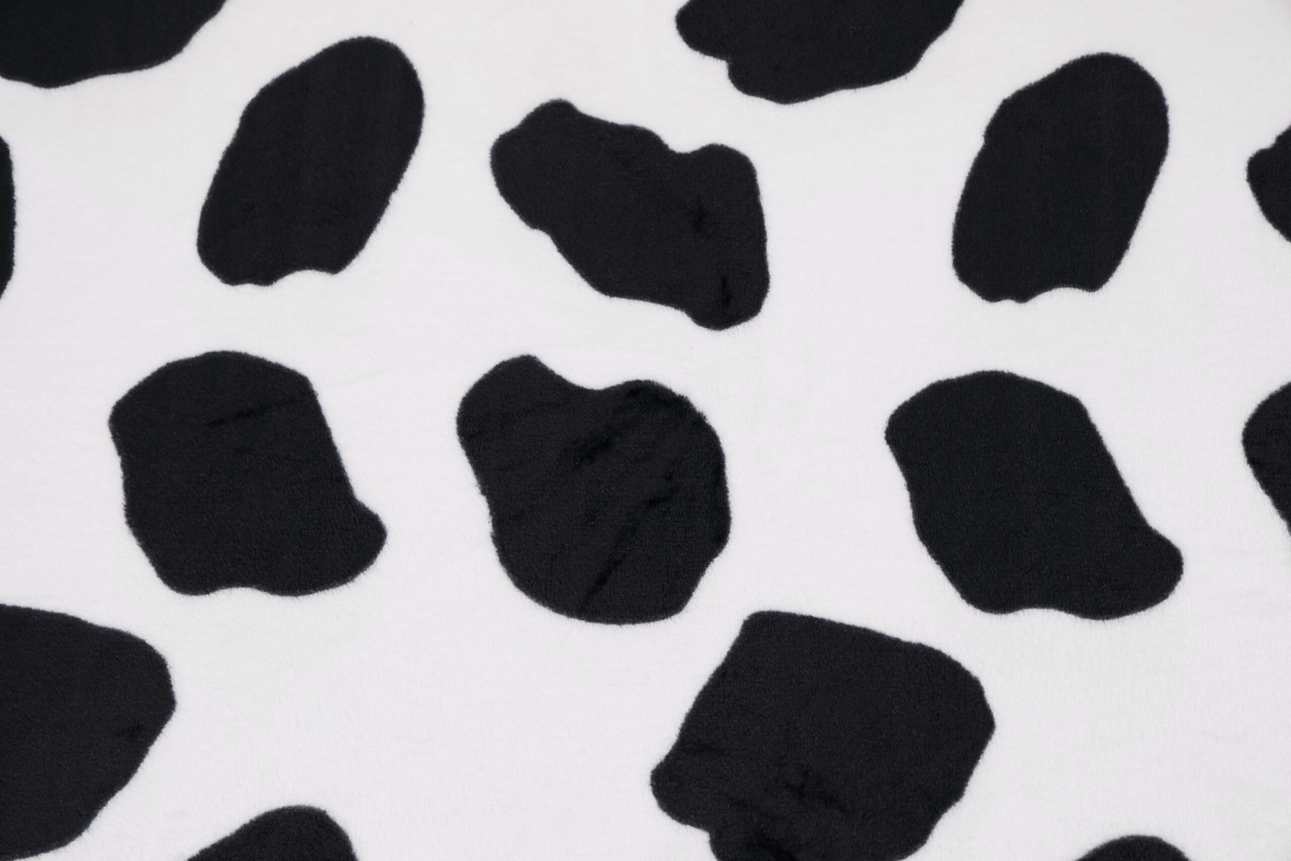 Dalmatyńczyk D Dzianina Minky Plush Drukowany 235g/m² - DALMATYŃCZYK– Miękkość, kolory i wzory, które zachwycają - obrazek 1